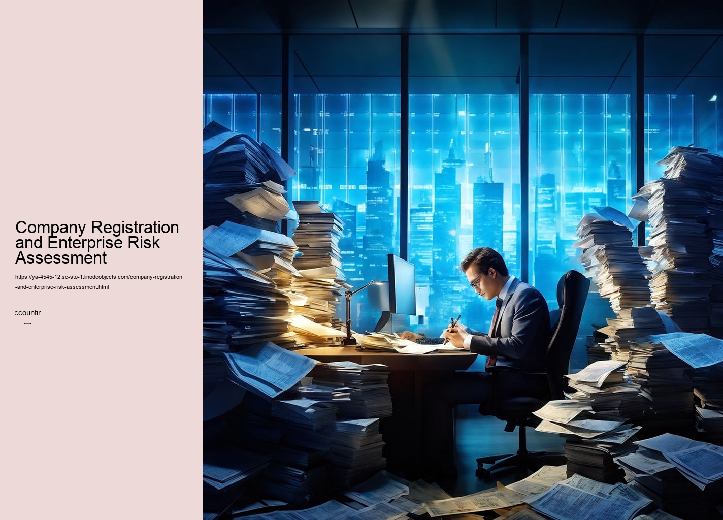 Company Registration and Enterprise Risk Assessment